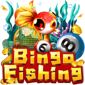 Bingo Fishing hybrid arcade room on 55bmw