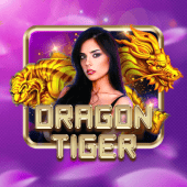 Dragon Tiger live dealer table on 55bmw
